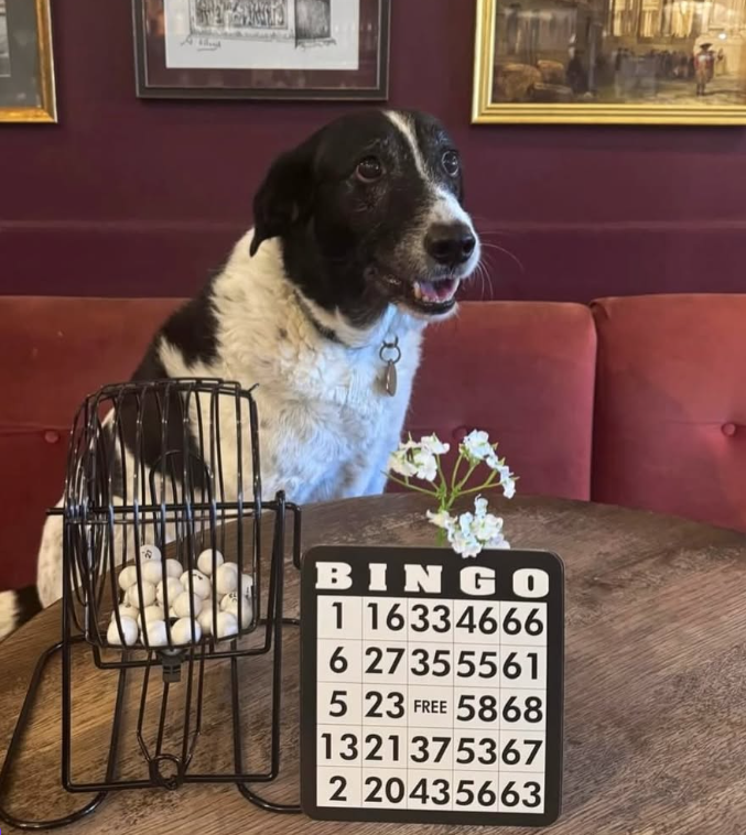 Young's Birthday Charity Bingo